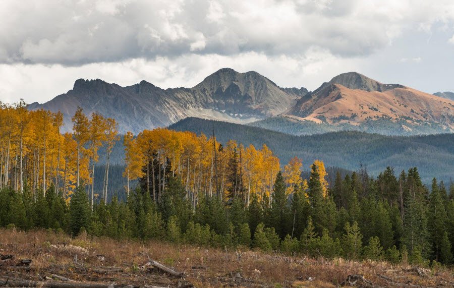 State Forest State Park, Colorado, USA